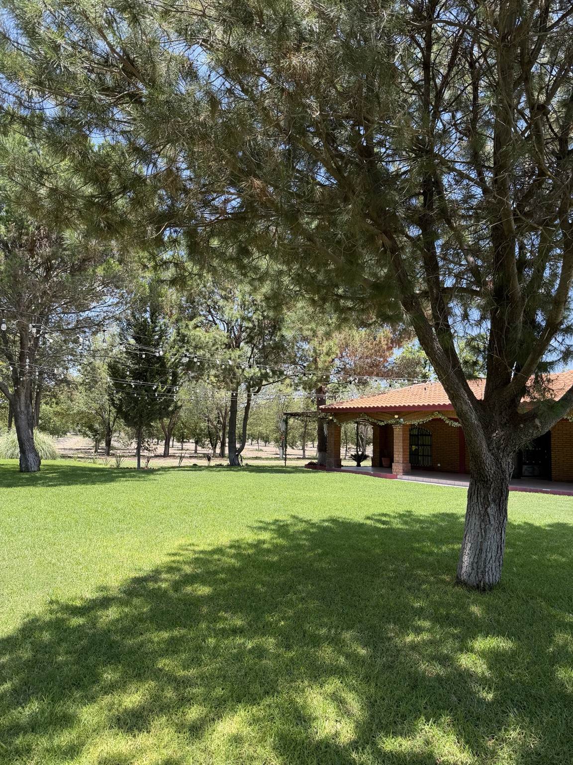 Jardín de La Nogalera