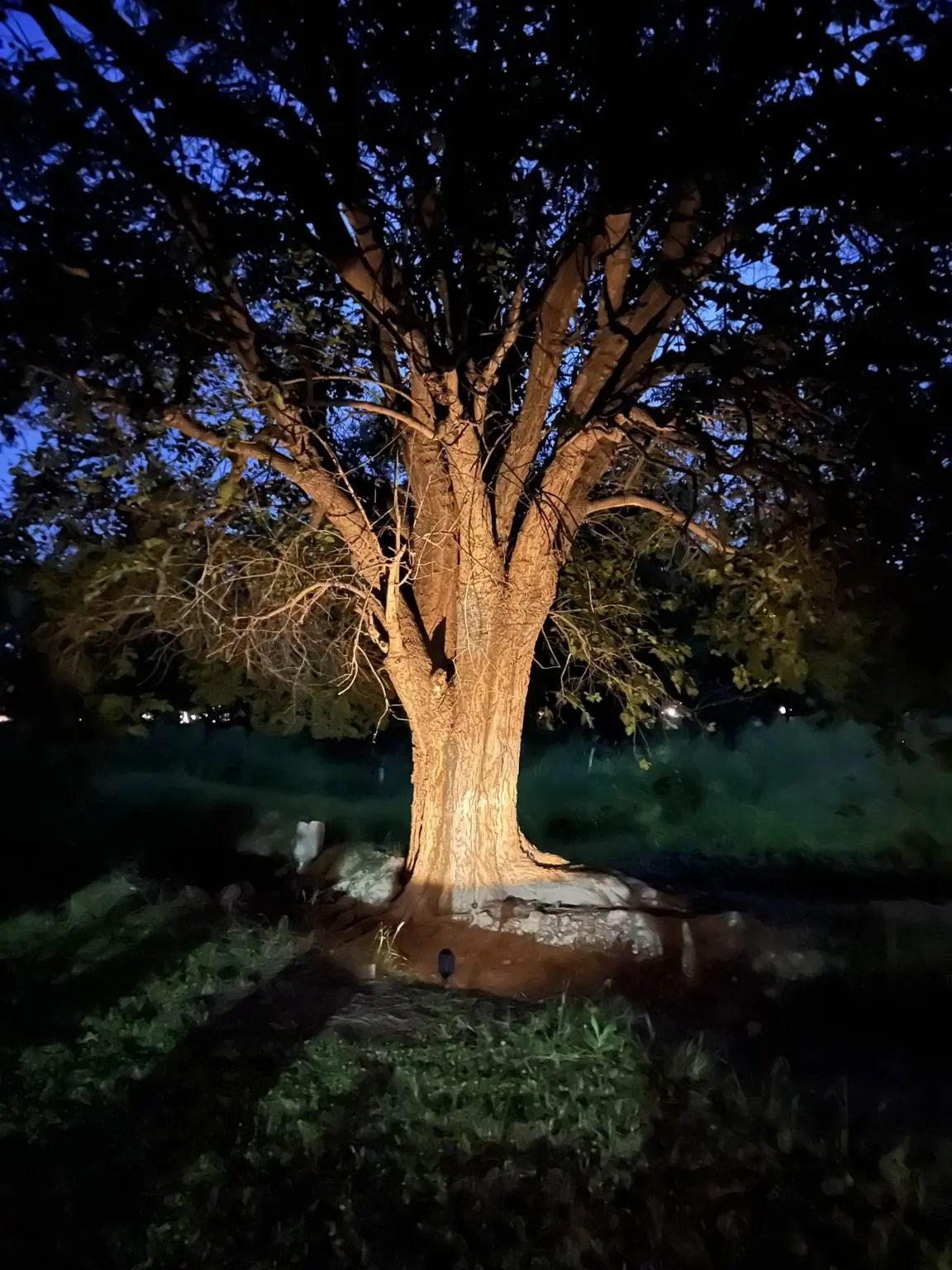 Iluminación Cálida en La Nogalera
