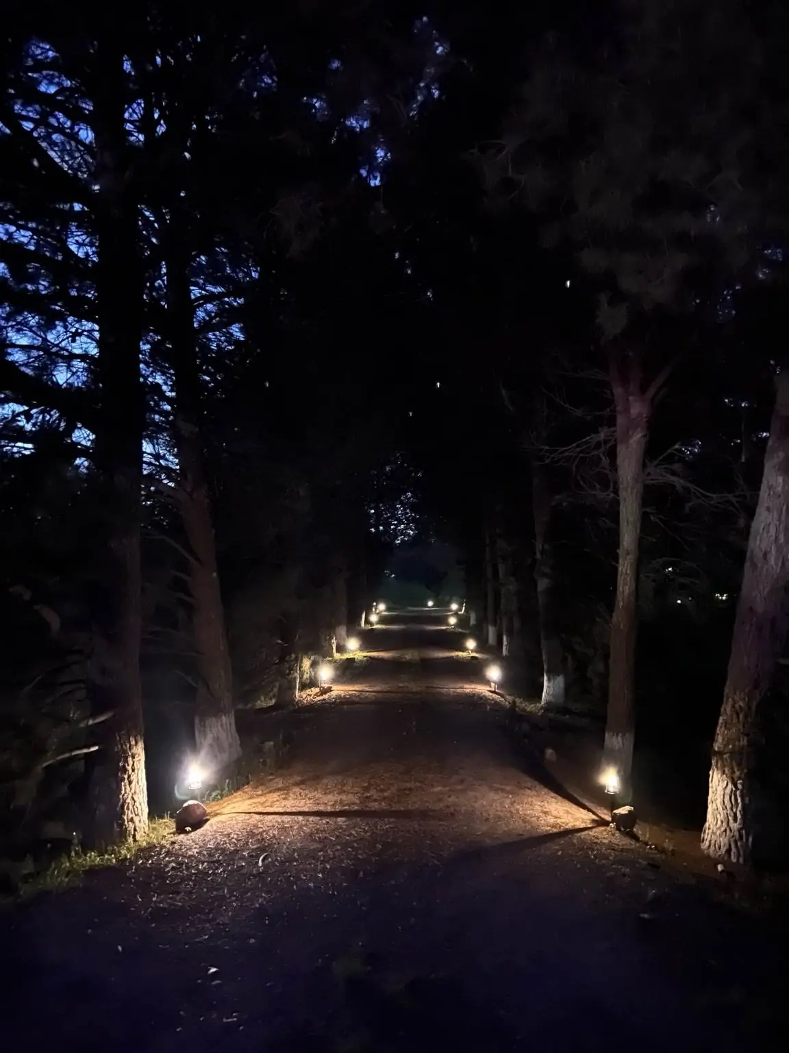 Iluminación Cálida en La Nogalera
