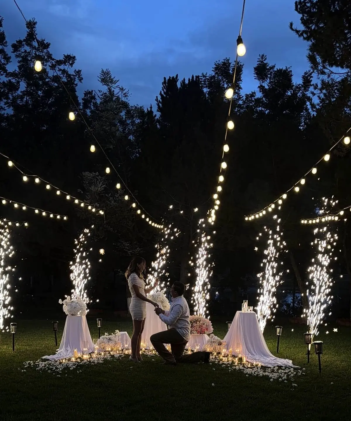 Pedida de matrimonio en La Nogalera