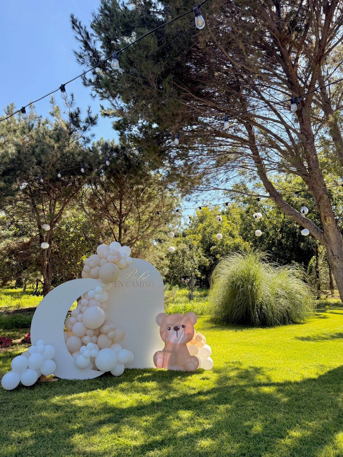 Baby Shower en La Nogalera — montaje exterior