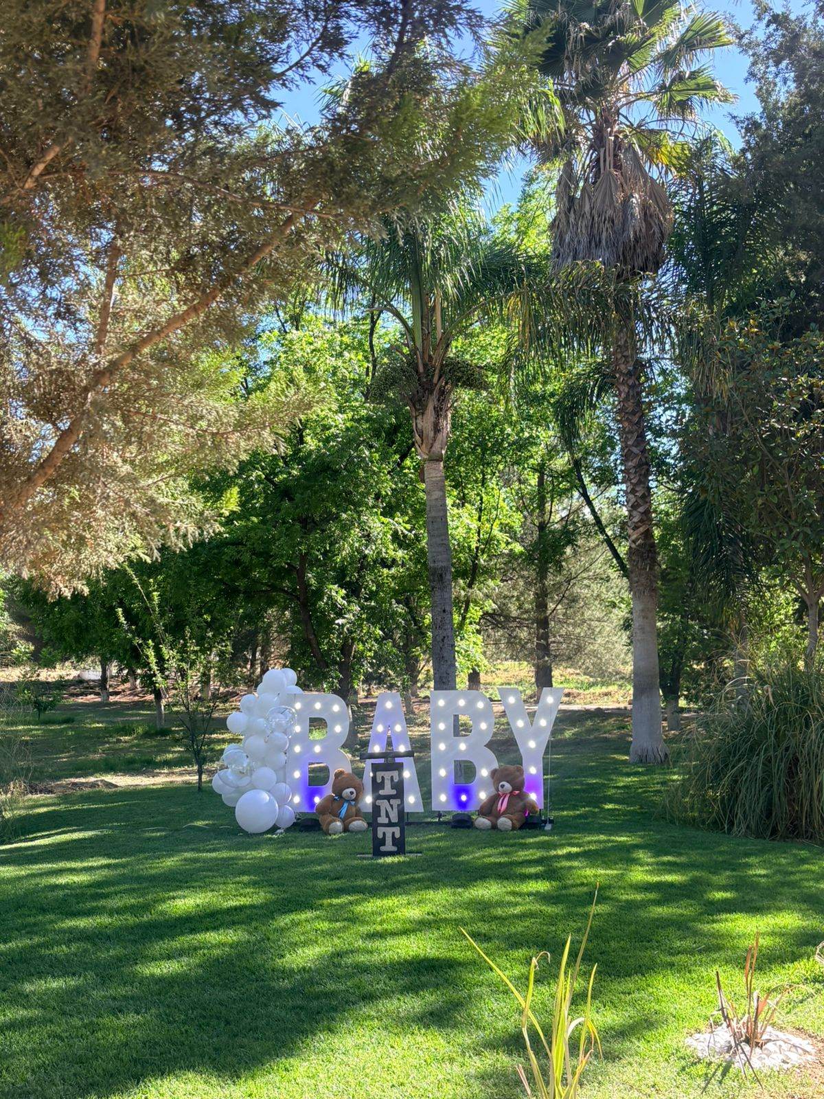 Baby Shower en La Nogalera — revelación con familia