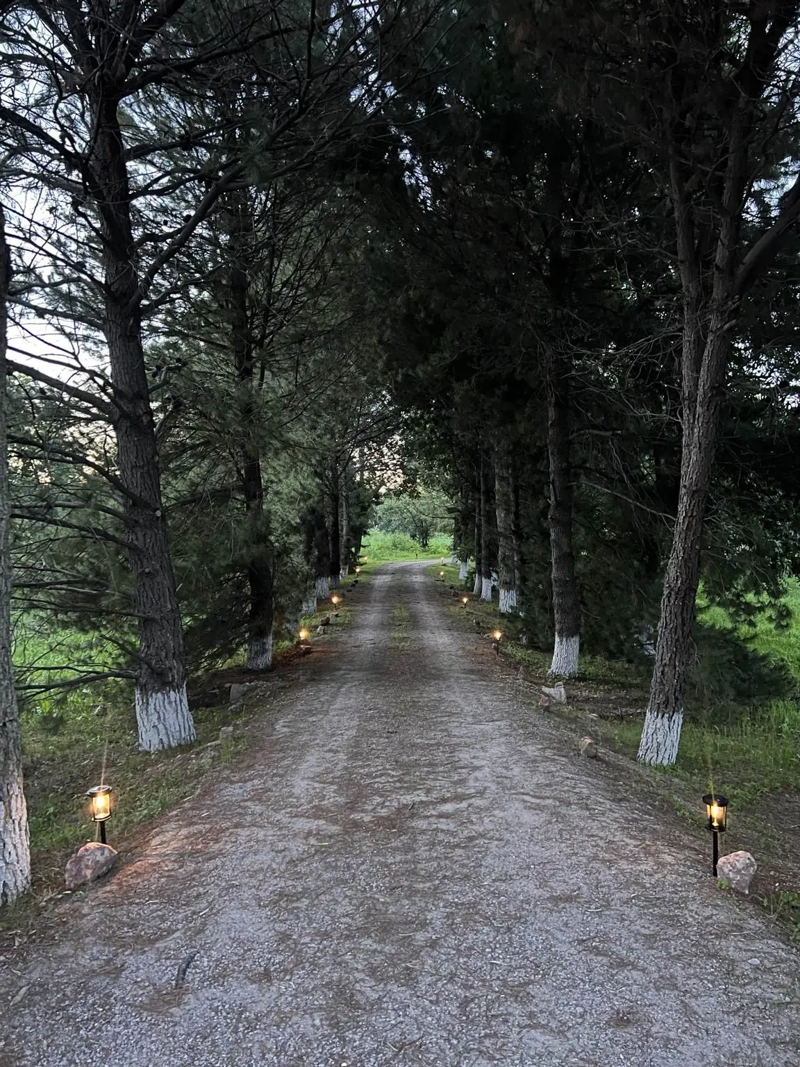La Nogalera Jardín para Eventos